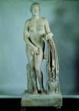 Venus-Belvedere-museos-vaticanos