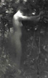 john-christen-johansen-wood-nymph-nude-in-a-forest