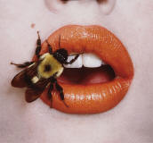 Irving-Penn-abeja-melosa