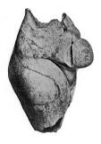 Venus-de-Brassempouy-Female_torso_sculpted_in_ivory-Upper_Palaeolithic